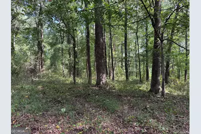 8126 Skitts Mountain Road, Lula, GA 30554 - Photo 21
