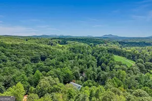 342 River Trail, Dahlonega, GA 30533 - Photo 69