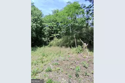479 Sandtown Road SE #LOT 1, Cartersville, GA 30121 - Photo 9