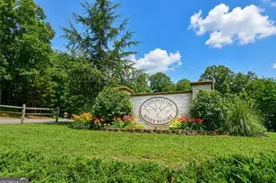 747 Matrix Ln, Ellijay, GA 30540 - Photo 43