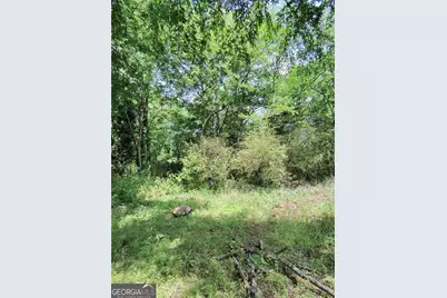 479 Sandtown Road SE #LOT 4, Cartersville, GA 30121 - Photo 19