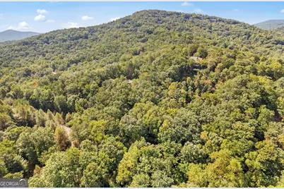 288 Blazingstar Trail, Big Canoe, GA 30143 - Photo 11
