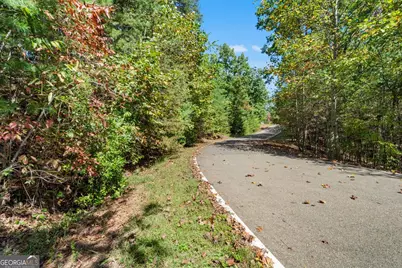 288 Blazingstar Trail, Big Canoe, GA 30143 - Photo 17