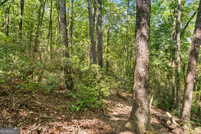 288 Blazingstar Trail, Big Canoe, GA 30143 - Photo 5