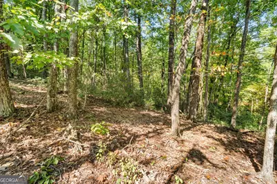 288 Blazingstar Trail, Big Canoe, GA 30143 - Photo 3