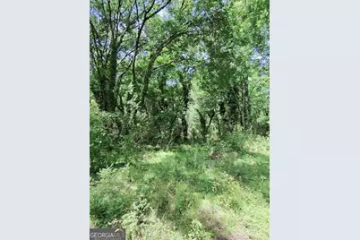 479 Sandtown Road SE #LOT 3, Cartersville, GA 30121 - Photo 19