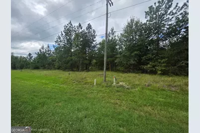 3102 Blackshear Highway, Baxley, GA 31513 - Photo 3