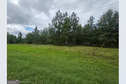 3102 Blackshear Highway, Baxley, GA 31513 - Photo 1