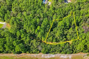 110 Canoe Run, Woodbine, GA 31569 - Photo 1