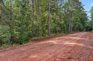0 Montpelier Springs Rd, Forsyth, GA 31029 - Photo 1