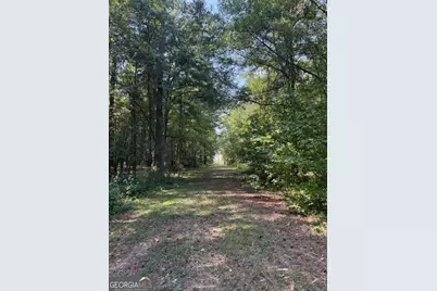 00 Monroe Highway, Bethlehem, GA 30620 - Photo 3