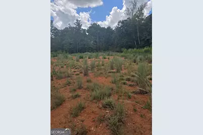 890 Forrester Cemetery Road, Covington, GA 30014 - Photo 1