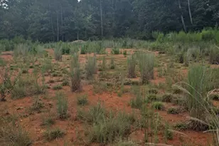 890 Forrester Cemetery Rd, Covington, GA 30014 - Photo 1