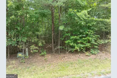 0 Young Harris, Young Harris, GA 30582 - Photo 5