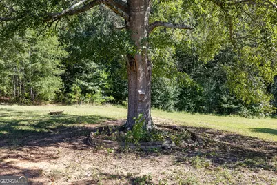 1005 Goza Rd., Fayetteville, GA 30215 - Photo 77