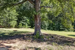 1005 Goza Rd, Fayetteville, GA 30215 - Photo 77