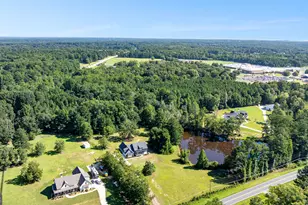 1005 Goza Rd, Fayetteville, GA 30215 - Photo 69