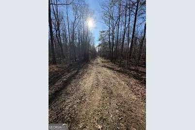 Tract 6 Stonepile Road, Clarkesville, GA 30523 - Photo 3