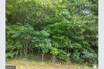 0 Brookhaven Drive, Young Harris, GA 30582 - Photo 7