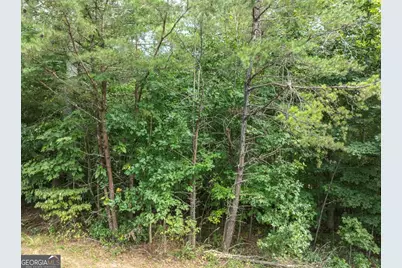 24 Brookhaven Drive, Young Harris, GA 30582 - Photo 7