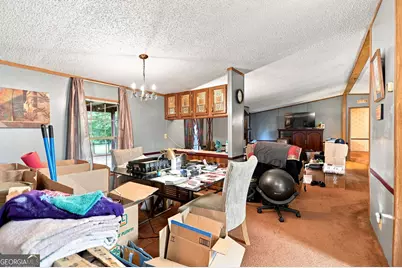 255 Plum Drive, Gay, GA 30218 - Photo 19