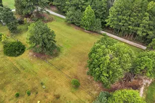 255 Plum Dr, Gay, GA 30218 - Photo 67
