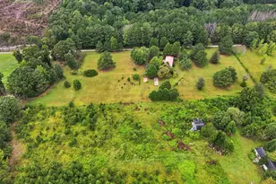 255 Plum Dr, Gay, GA 30218 - Photo 57