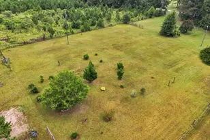 255 Plum Dr, Gay, GA 30218 - Photo 65