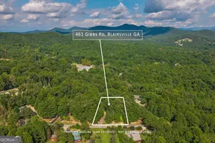 461 Gibbs Rd, Blairsville, GA 30512 - Photo 3