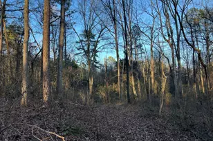 4638 Hwy 63, Carnesville, GA 30521 - Photo 51