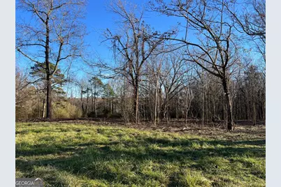 4638 Highway 63, Carnesville, GA 30521 - Photo 41