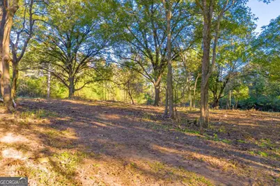 4638 Highway 63, Carnesville, GA 30521 - Photo 9