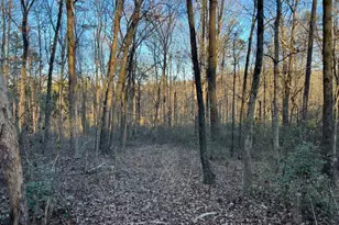 4638 Hwy 63, Carnesville, GA 30521 - Photo 49