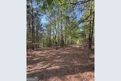 0 Middle Ground Road, Louisville, GA 30434 - Photo 3