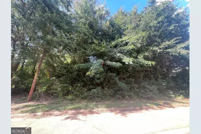 45 Pine Street, Griffin, GA 30223 - Photo 3