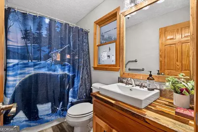 750 Lemmon Lane S #200, Ellijay, GA 30540 - Photo 19