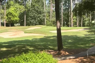 1011 Spy Glass Hill, Greensboro, GA 30642 - Photo 25