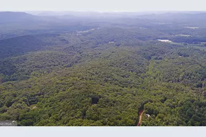 1055 Wolfpen Trail, Ellijay, GA 30536 - Photo 49