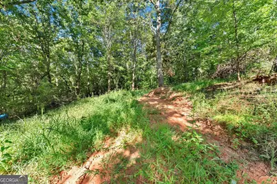 375 Mountain Crest Drive, Clarkesville, GA 30523 - Photo 9