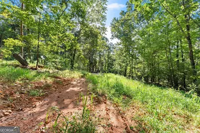 375 Mountain Crest Drive, Clarkesville, GA 30523 - Photo 13