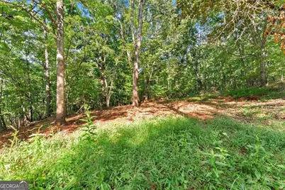 375 Mountain Crest Drive, Clarkesville, GA 30523 - Photo 11