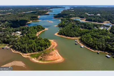 241 Grizzly Bear Lane, Hartwell, GA 30643 - Photo 47