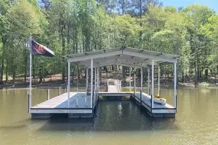 241 Grizzly Bear Ln, Hartwell, GA 30643 - Photo 43