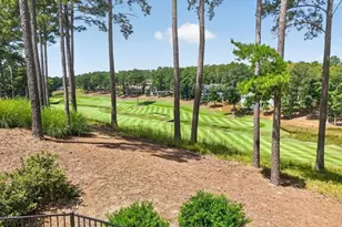 1031 Mill Creek, Greensboro, GA 30642 - Photo 15