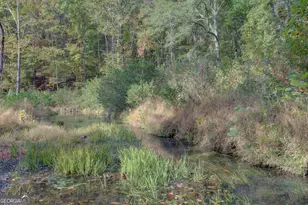 431 Abrams Rd SE, Silver Creek, GA 30173 - Photo 75