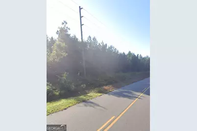 0 Willie Varnum Road, Dothan, AL 36301 - Photo 7
