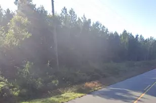 0 Willie Varnum Rd, Dothan, AL 36301 - Photo 7