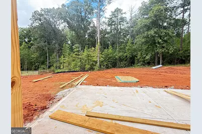 Lot 46 Lake Point Drive, Williamson, GA 30292 - Photo 13