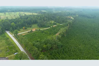0 Lanier Rd (16 Acres), White Plains, GA 30678 - Photo 5