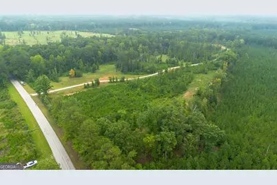 0 Lanier Rd (16 Acres), White Plains, GA 30678 - Photo 3